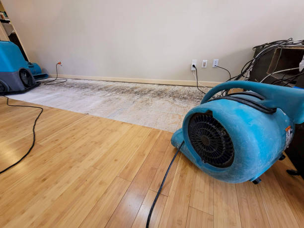 Professional Water Damage Repair technician working in Lincoln, AR